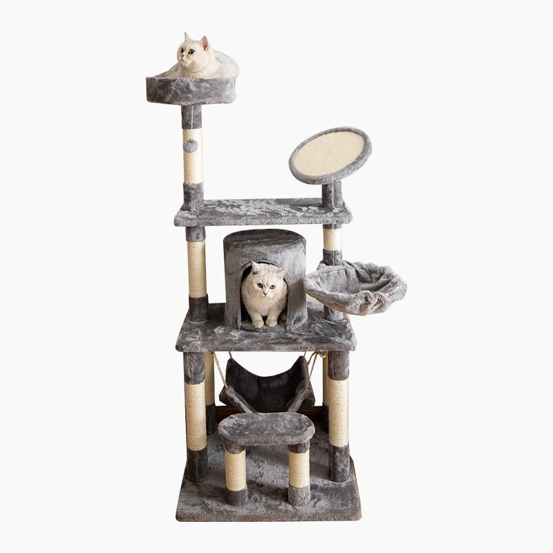 image of Classic Model